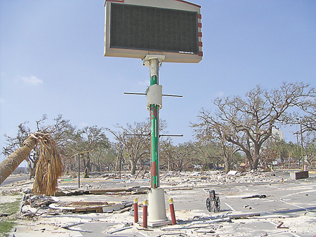 ElMaguey